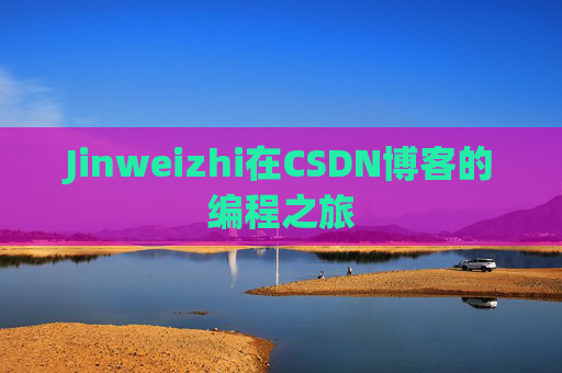 Jinweizhi在CSDN博客的编程之旅